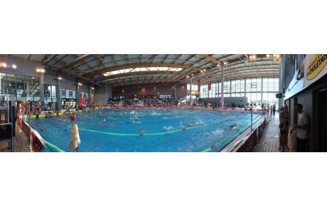 Bilan Juniors/Seniors - Meeting de Cholet 